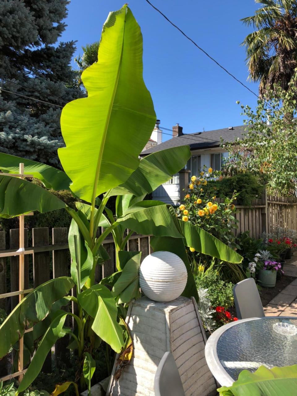 Cozy Bedrooms Guest House Vancouver Luaran gambar
